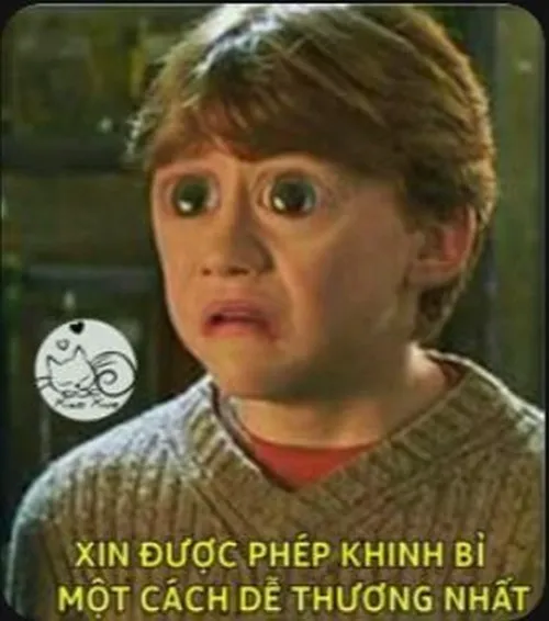 Hình troll biểu cảm miệt thị sắc lẹm