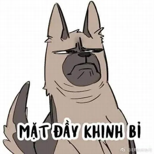 Meme hài thần thái kênh kiệu đáng ghét