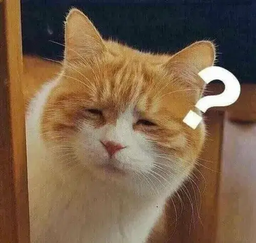 Meme mèo hài chống cằm đăm chiêu như triết gia