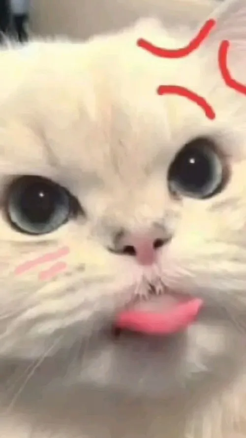 Hình troll dân mạng bắt trend lêu lêu cực nhanh.