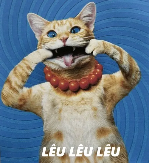 Meme hài mèo lêu lêu thể hiện cảm giác thắng cuộc đầy tự trào.