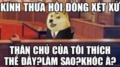 40 Meme cãi lý TikTok khiến tranh luận mạng hóa trò vui