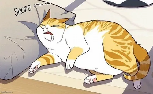 Hình chế boss ngủ bất chấp trời mưa ngoài sân.