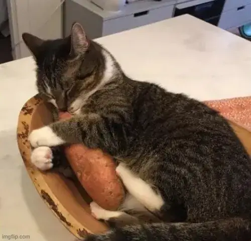 Ảnh vui hoàng thượng ngủ gật, dân mạng bình luận rần rần.