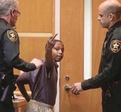 Meme troll công tố viên và cú phản đối kinh điển