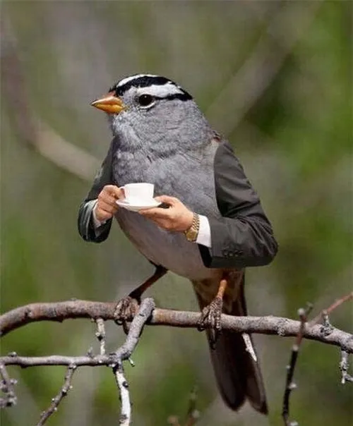 Ảnh chế quý ông lấy cảm hứng từ James Bond