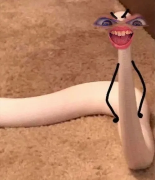 Meme rắn mặt troll bạn bè với caption “độc nhưng vui”