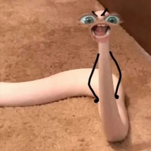 Ảnh vui rắn ngóc đầu chống nạnh được dân mạng chế lại