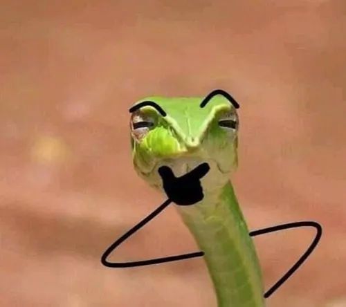 Meme rắn có tay chống cằm lan truyền khắp mạng xã hội