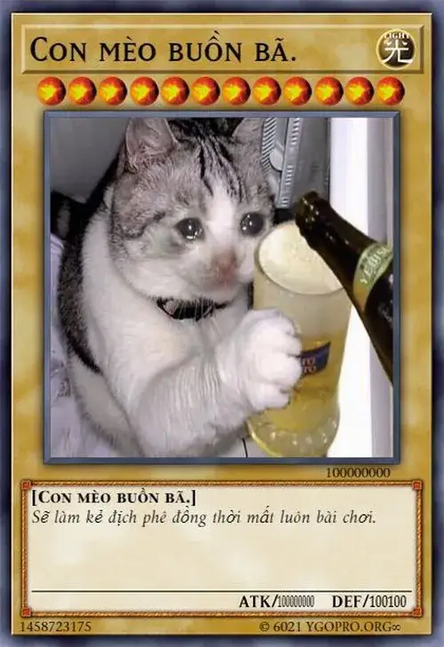 Hình troll lá bài mèo uống bia nhìn là cười