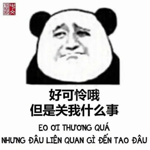 Meme Hoa ngữ kết hợp cổ điển và hiện đại