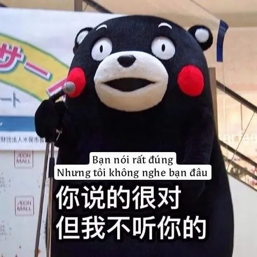 Meme chế xứ Trung dùng nhiều trong bình luận