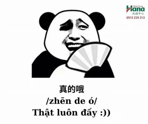 Meme Cbiz pha chất đời thường rất thật