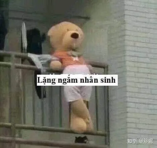 Ảnh vui mạng Hoa ngữ “chuẩn trend” giới trẻ