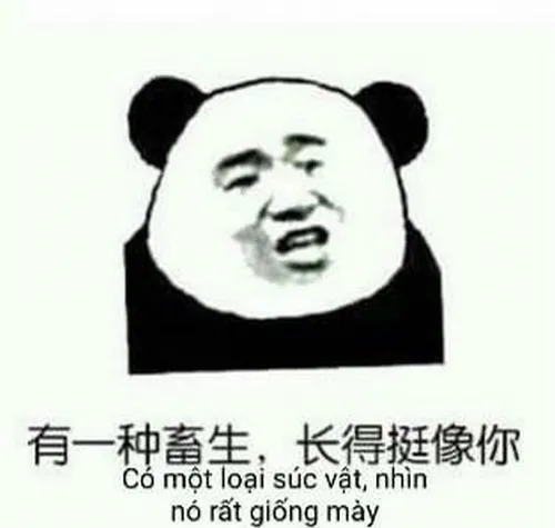 Khoảnh khắc Trung Quốc đời thường thành meme