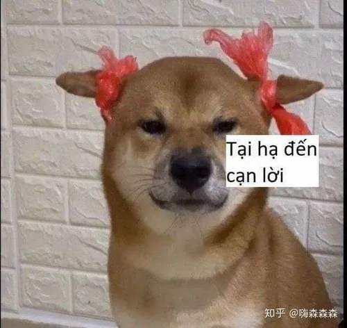 Ảnh chế Trung Quốc phản ánh xã hội