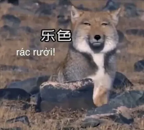 Hình troll xứ Trung biểu cảm siêu thực