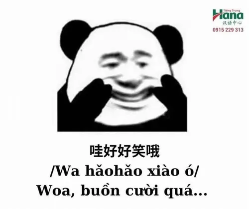 Meme Trung Quốc nửa thật nửa đùa cực hợp trend