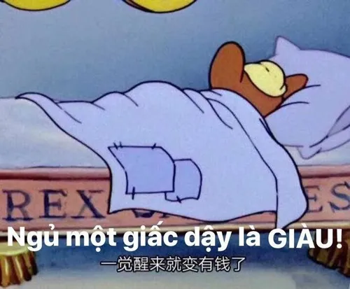 Meme mạng Hoa Hạ được chia sẻ khắp nơi