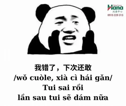 Hình troll Trung Quốc khiến dân mạng cười