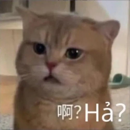 Ảnh hài Cbiz khiến dân mạng thả tim