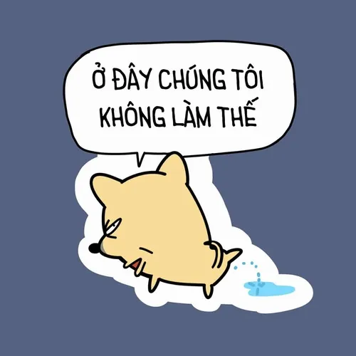 Meme hài nhân viên lười nhưng vẫn hoàn thành task