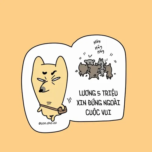 Ảnh chế văn phòng bàn làm việc ngổn ngang