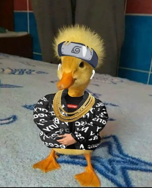 Ảnh chế vịt ngầu khiến dân mạng mê tít.