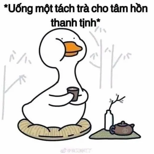 Khoảnh khắc vịt đứng ngơ siêu iconic.