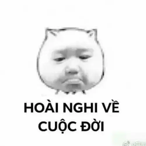 Ảnh meme hài hoài nghi về nhân sinh cuộc đời