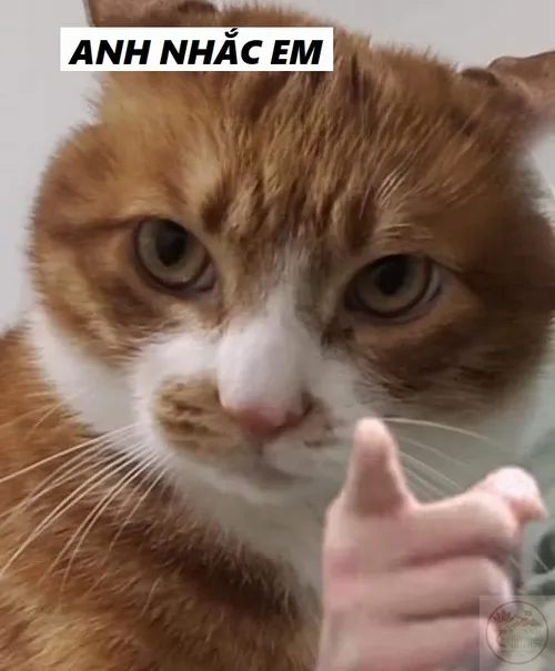 32 31