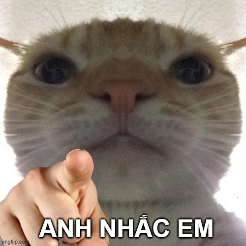 24 Meme anh nhắc em mang tone cảnh báo vui.