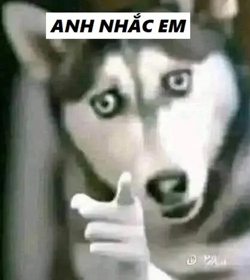 28 Ảnh chế ông chú nghiêm mặt nhưng nói câu viral.