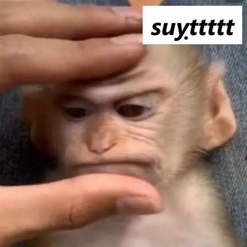 29 Ảnh troll suỵt nhỏ nhẹ, nét cười đầy tinh tế.