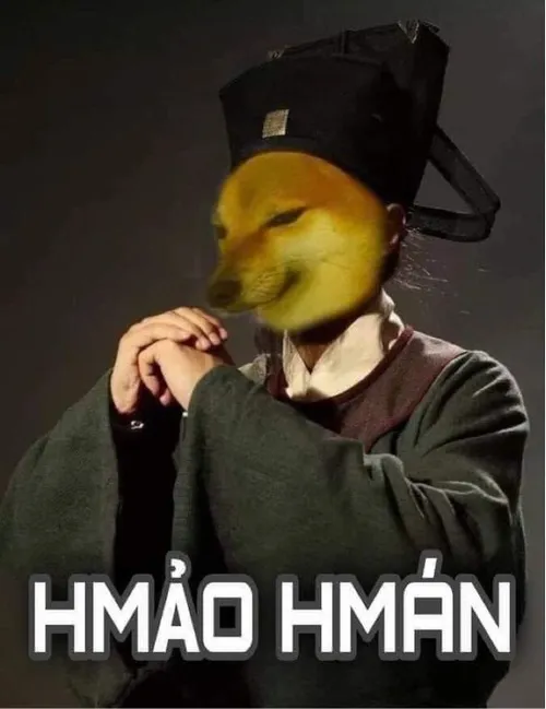 Meme giản dị mà vui lạ thường.