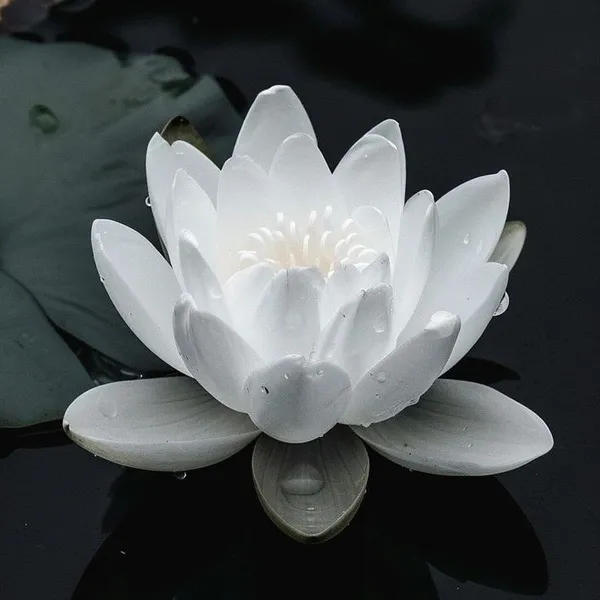 Ảnh cá nhân báo tin buồn, tone nhẹ