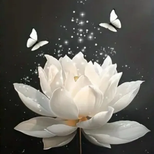 Ảnh đại diện hoa sen trắng cho Zalo