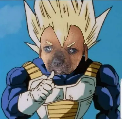 98 97