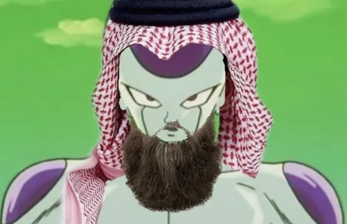 133 132