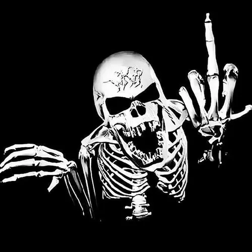 Ảnh chế bộ xương “đời là bể khổ”