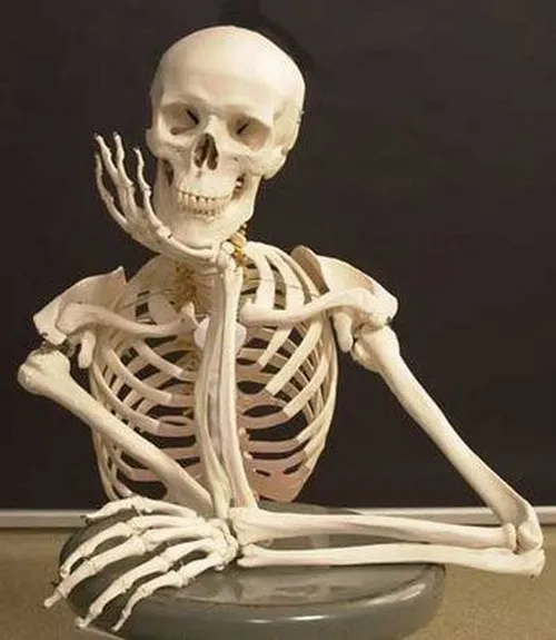 Ảnh troll bộ xương chống cằm chờ đợi