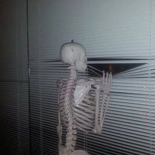 Bộ xương chờ đợi trong vô vọng