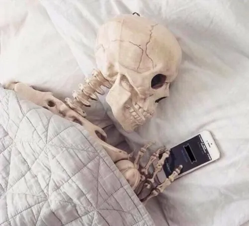 Meme hài bộ xương đang “chết trong lòng”