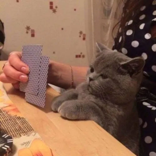 11 Meme đánh bài cực chất với caption liều mạng