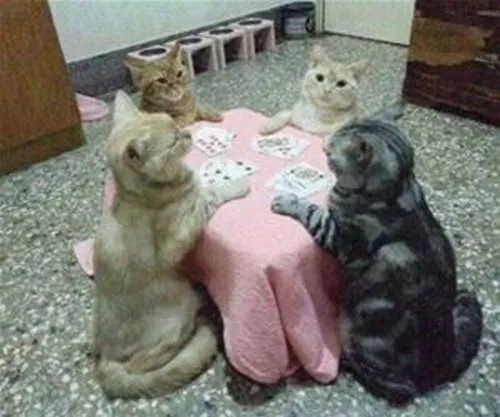5 Meme đánh bài kiểu “gom bài lại” viral mạng