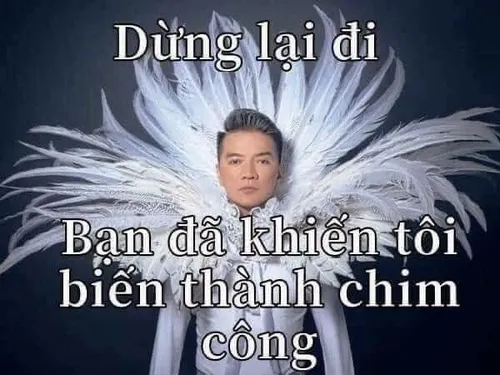 Đàm Vĩnh Hưng meme và những khoảnh khắc biểu cảm huyền thoại