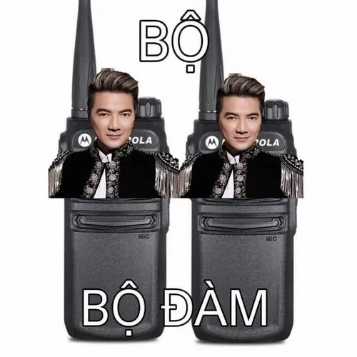 Meme vui ông hoàng nhạc Việt cười nhẹ nhưng đầy ẩn ý.