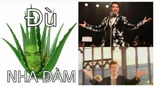Bộ ảnh meme Đàm Vĩnh Hưng – từ hài hước đến mặn mòi, xem là ghiền
