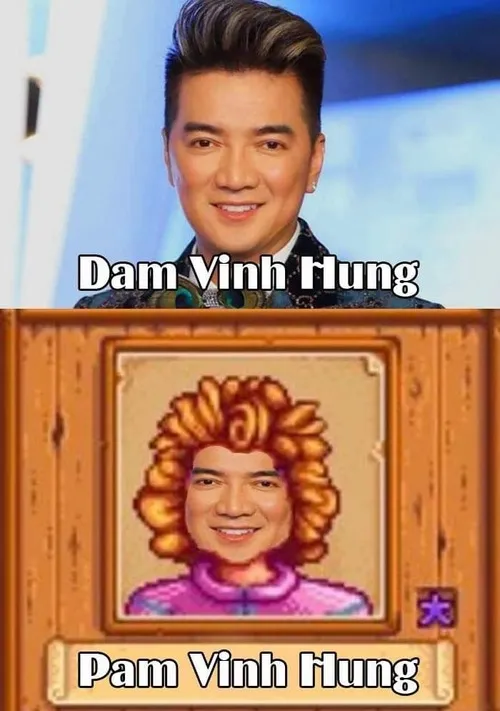 Đàm Vĩnh Hưng meme hài hước với biểu cảm “chất” không lẫn vào đâu được