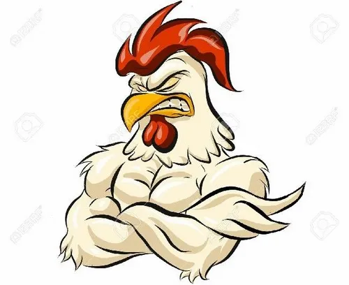 Tổng hợp meme gà nhìn phát cười liền, vui tới sáng